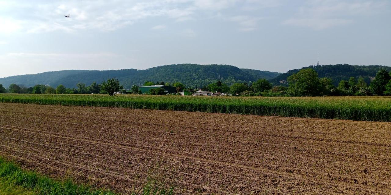 Ferienwohnung In Grenzach 외부 사진