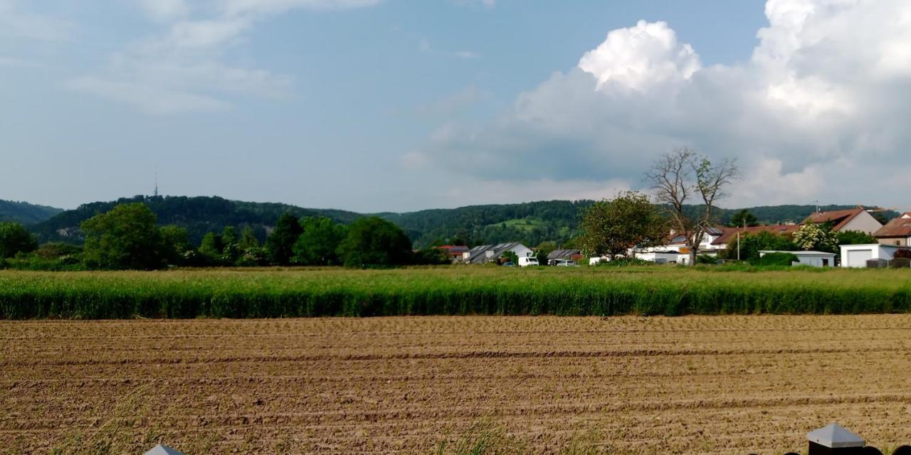 Ferienwohnung In Grenzach 외부 사진